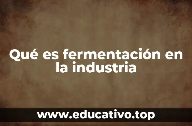 Qué es fermentación en la industria