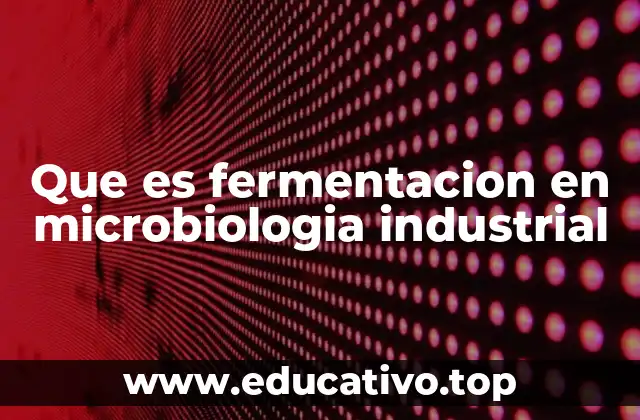 Que es fermentacion en microbiologia industrial