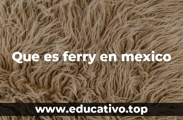 Que es ferry en mexico