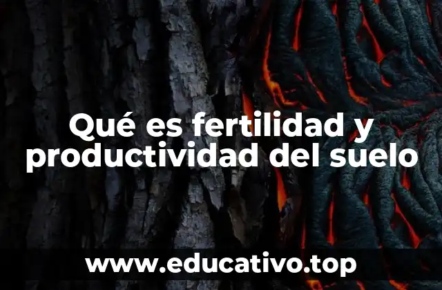 Qué es fertilidad y productividad del suelo