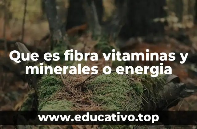 Que es fibra vitaminas y minerales o energia