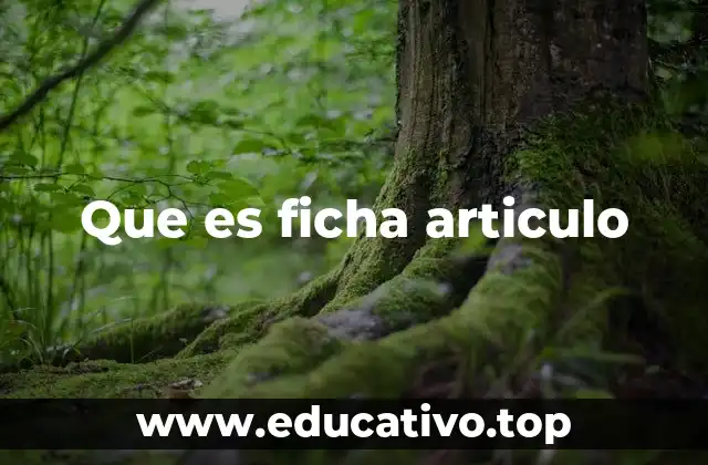 Que es ficha articulo