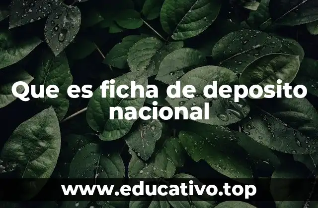 Que es ficha de deposito nacional