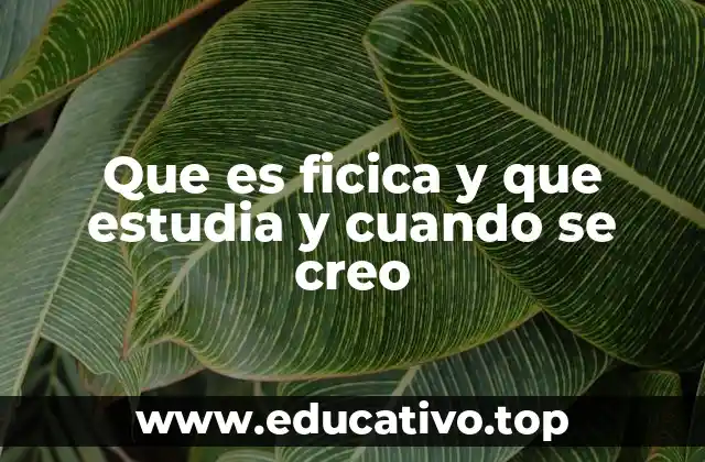 Que es ficica y que estudia y cuando se creo