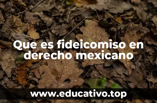 Que es fideicomiso en derecho mexicano
