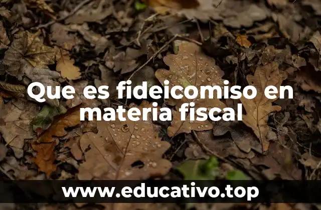 Que es fideicomiso en materia fiscal