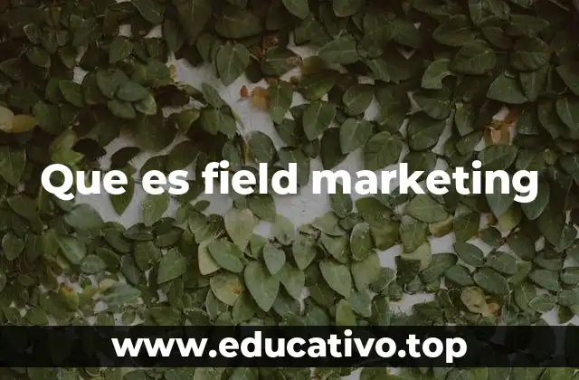 Que es field marketing
