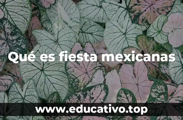 El origen y evolución de las celebraciones en México