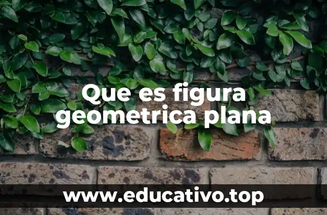 Características de las figuras geométricas planas