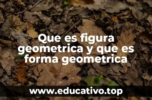 Que es figura geometrica y que es forma geometrica