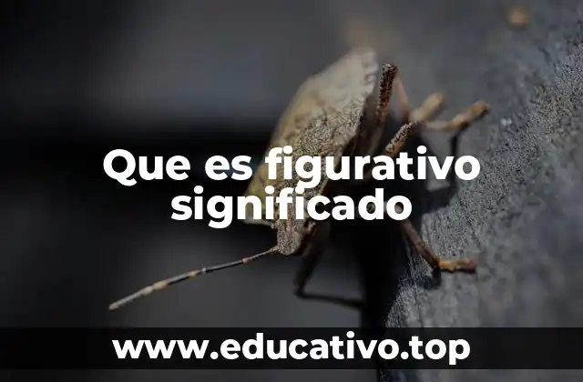 Que es figurativo significado