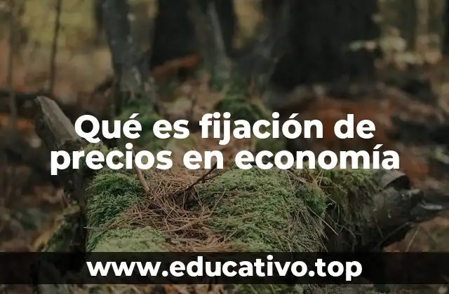 Cómo afecta la fijación de precios a la economía