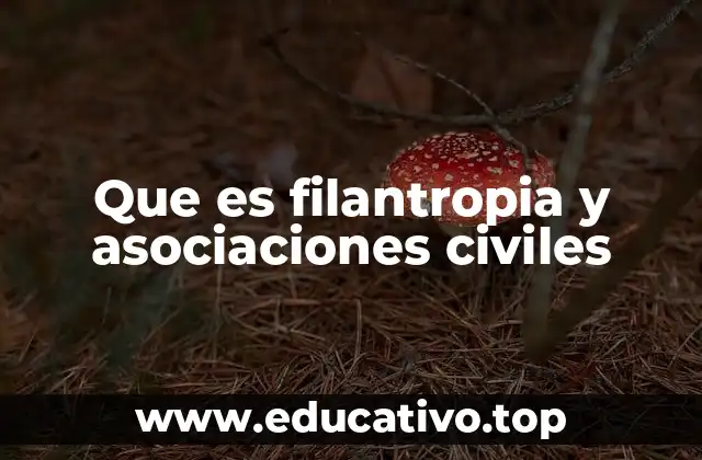 Que es filantropia y asociaciones civiles