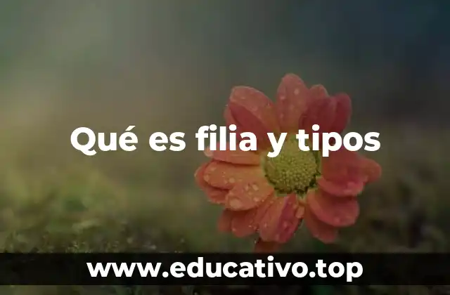 Qué es filia y tipos