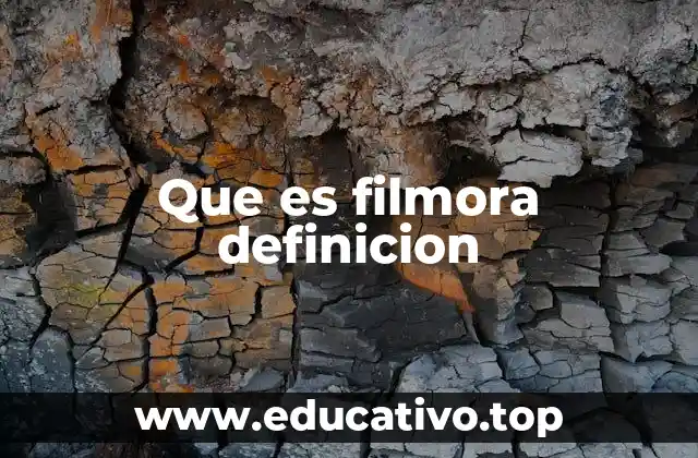 Que es filmora definicion