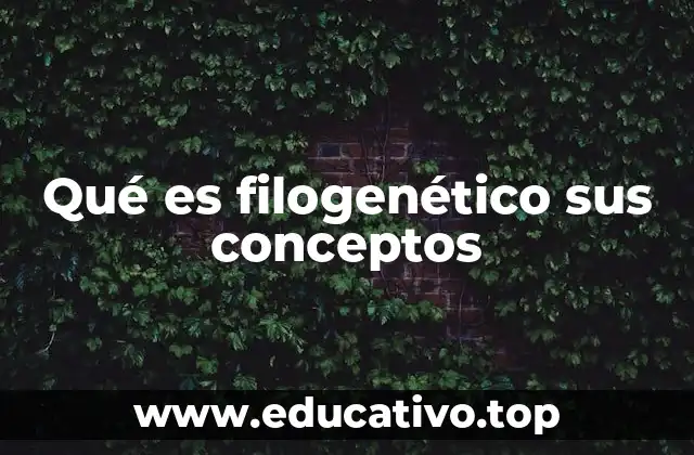 Qué es filogenético sus conceptos