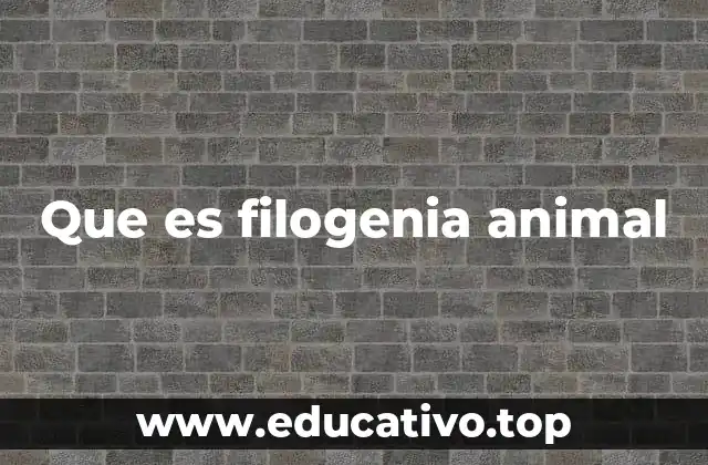 La evolución como base para entender las relaciones entre los animales