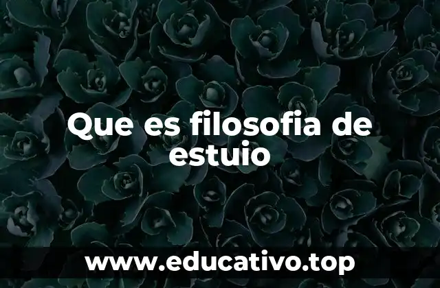 Que es filosofia de estuio