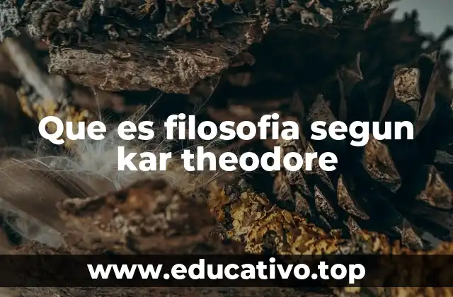 Que es filosofia segun kar theodore