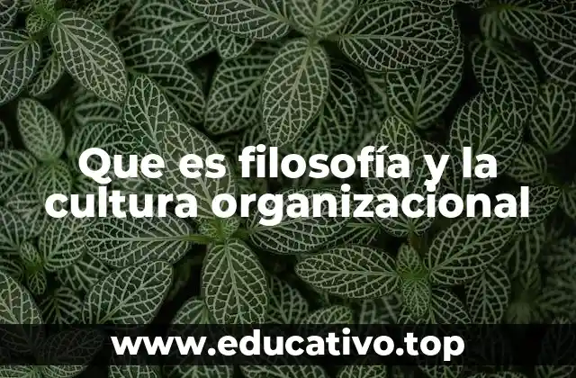Que es filosofía y la cultura organizacional