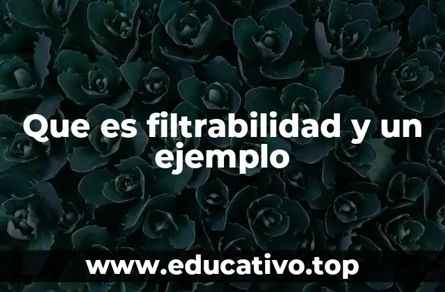 Que es filtrabilidad y un ejemplo