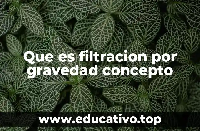 Que es filtracion por gravedad concepto