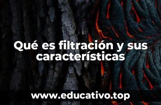 Qué es filtración y sus características