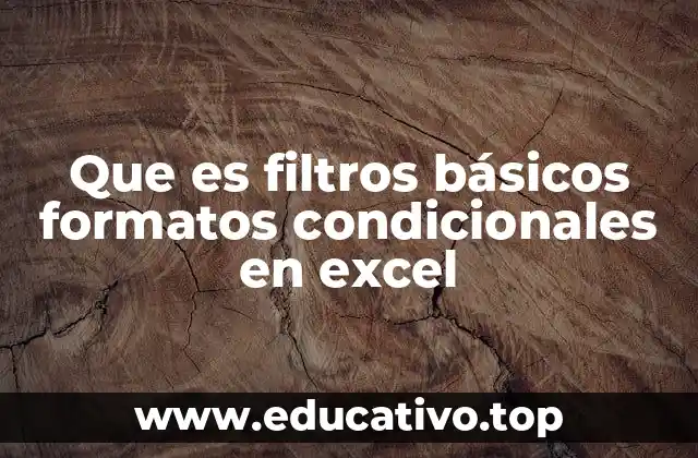 Que es filtros básicos formatos condicionales en excel