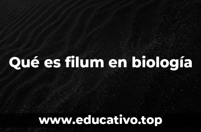 Qué es filum en biología