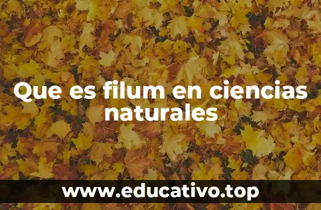 Que es filum en ciencias naturales