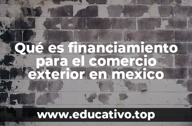 Qué es financiamiento para el comercio exterior en mexico