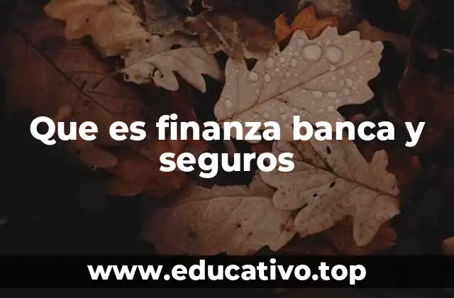 Que es finanza banca y seguros