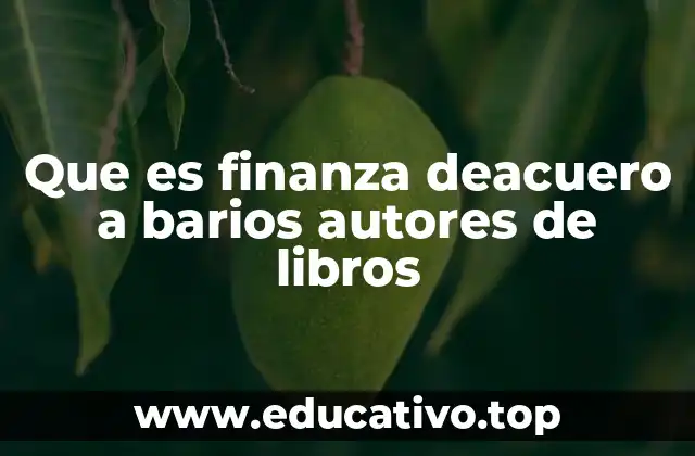 Que es finanza deacuero a barios autores de libros