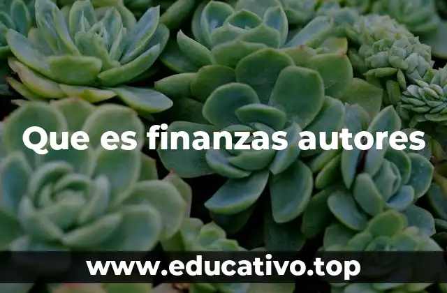 Que es finanzas autores