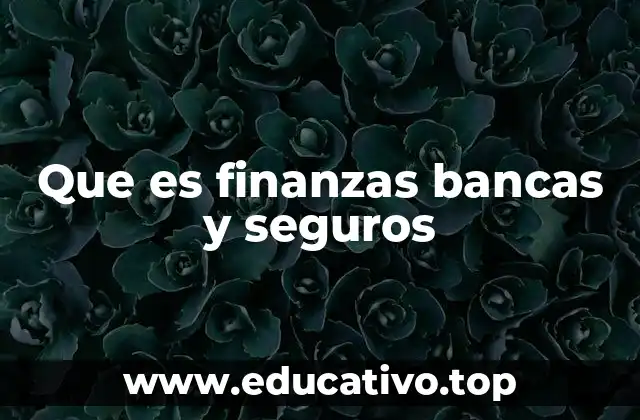 Que es finanzas bancas y seguros