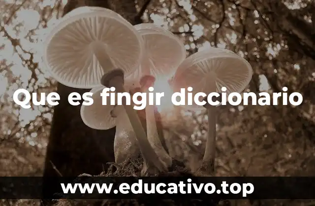 Que es fingir diccionario