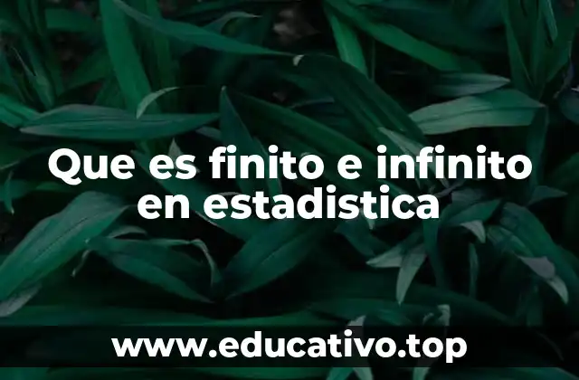 La importancia de distinguir entre finito e infinito en la toma de decisiones estadísticas