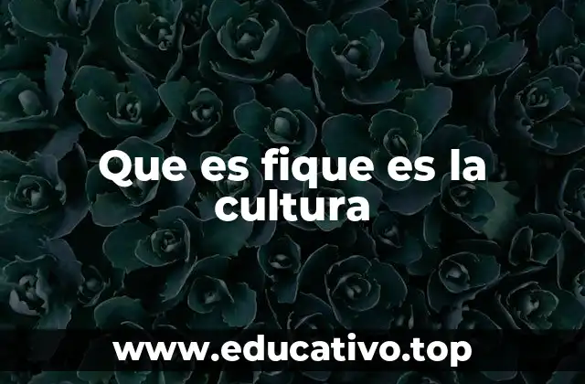 El fique y su papel en la identidad cultural