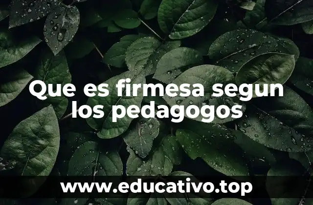 Que es firmesa segun los pedagogos