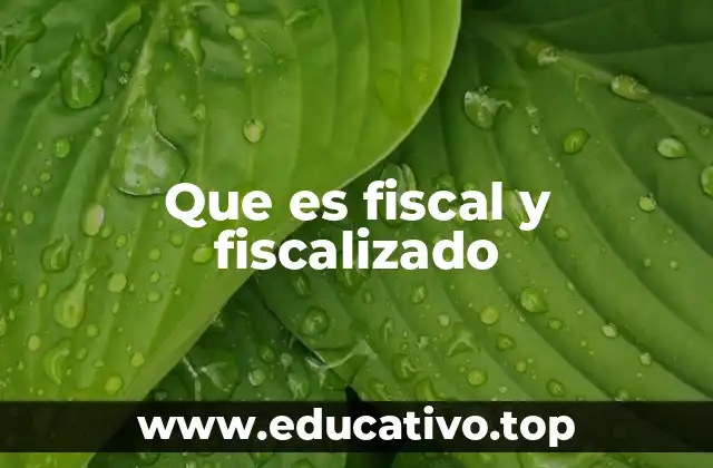 Que es fiscal y fiscalizado