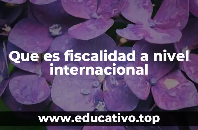 Que es fiscalidad a nivel internacional
