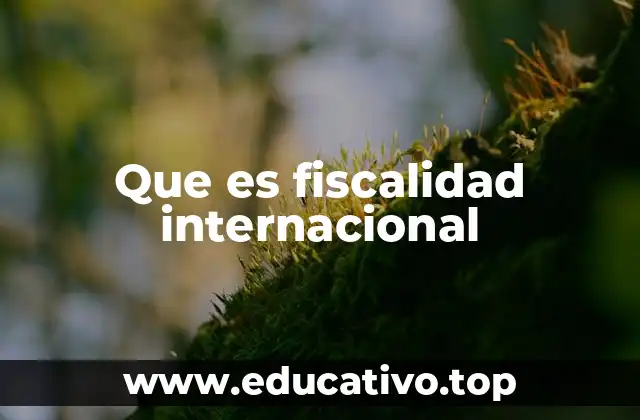 Que es fiscalidad internacional