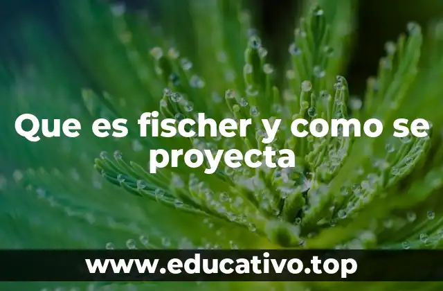 Que es fischer y como se proyecta