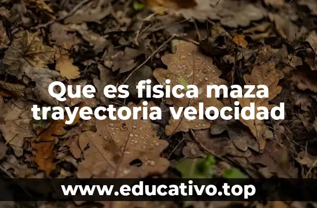 Que es fisica maza trayectoria velocidad