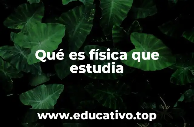 Qué es física que estudia
