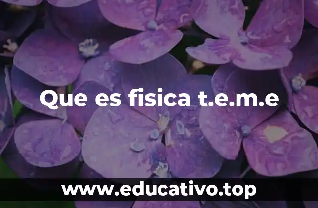 Que es fisica t.e.m.e