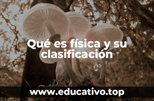 Qué es física y su clasificación