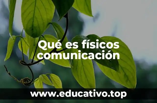 Qué es físicos comunicación