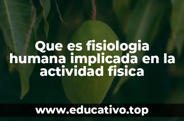 Que es fisiologia humana implicada en la actividad fisica