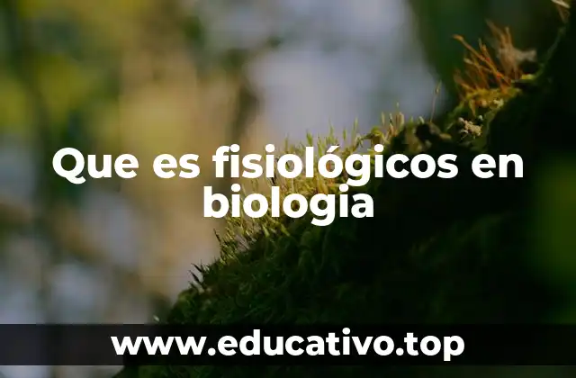 Funciones del cuerpo y el equilibrio interno